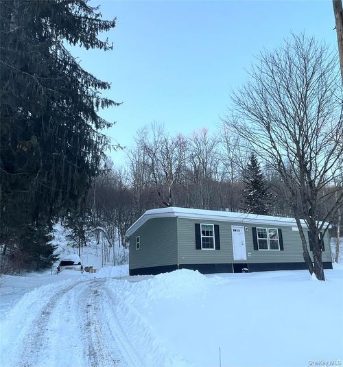 317 Debruce Rd, Livingston Manor, NY, 12758-2006 | Card Image