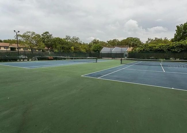 APT-201 - 4207 Winding Moss Trl, Condo with 2 bedrooms, 2 bathrooms and null parking in TAMPA FL | Image 35