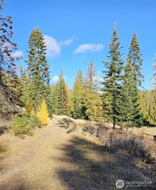 b-717 Finley Gulch Rd, Colville, WA, 99114-9102 | Card Image