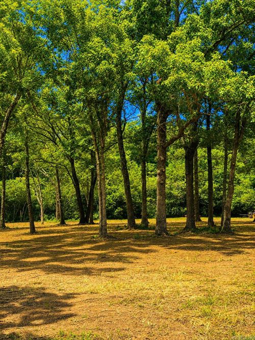 00 Cemetery Road, Clinton, AR, 72031 | Card Image