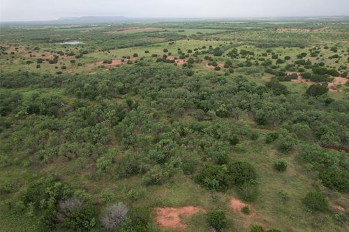 TBD County Road 175, Lawn, TX, 79530 | Card Image