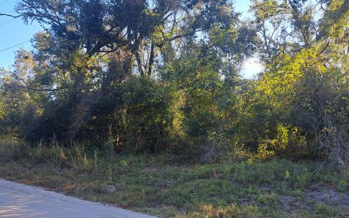 TBD Se Oak Tree Rd, Branford, FL, 32008 | Card Image