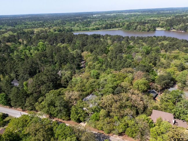 411 Raton Pass, House other with 3 bedrooms, 2 bathrooms and null parking in Holly Lake Ranch TX | Image 27