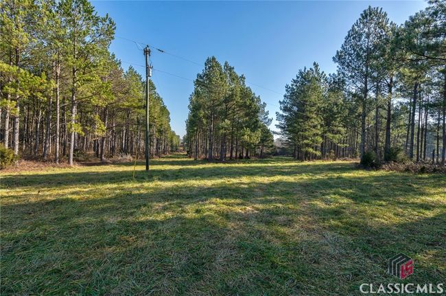0 Hwy 77, Home with 0 bedrooms, 0 bathrooms and null parking in Lexington GA | Image 9