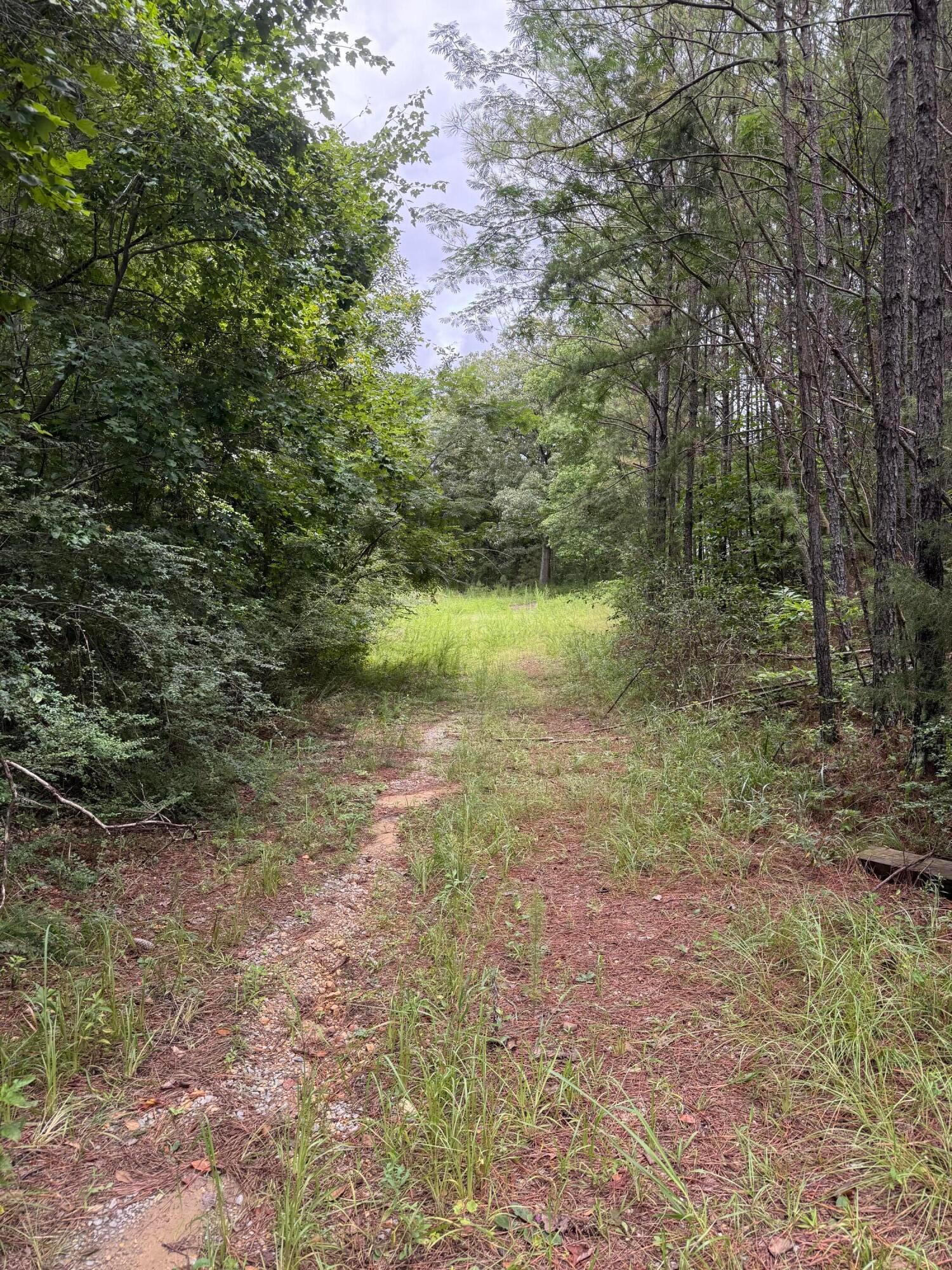 Land in Double Springs