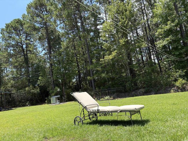 View of grassy yard | Image 28