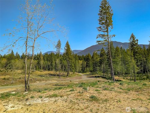 lot-a3-0 Craig Rd, Packwood, WA, 98361 | Card Image