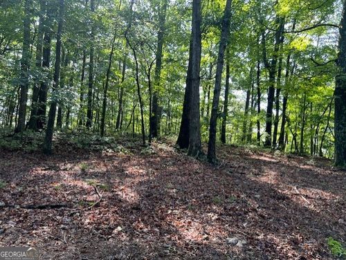 TR10 - 4.64 ACR Wendy Hill Rd, Talking Rock, GA, 30175 | Card Image