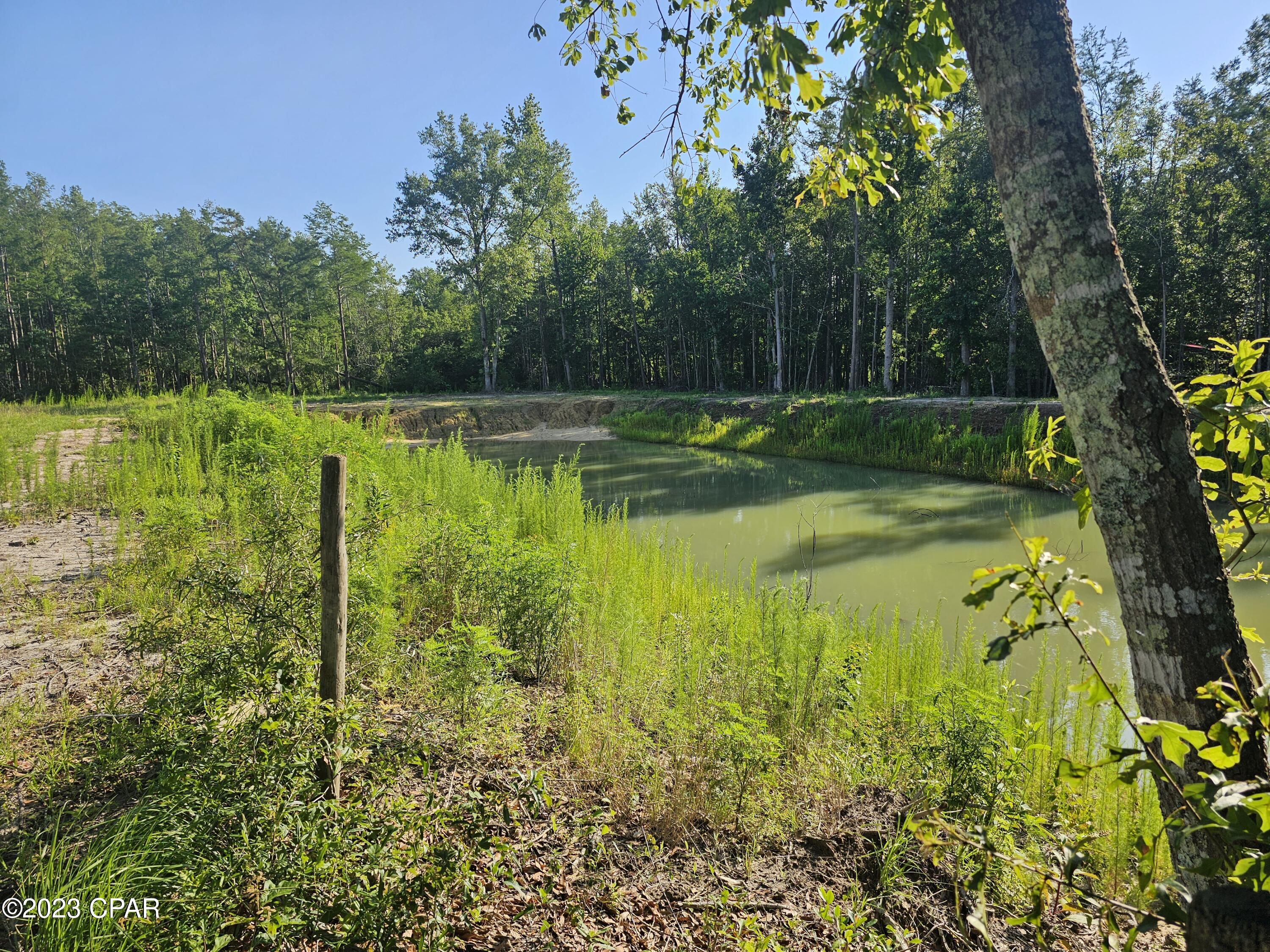 Highway 90 , Grand Ridge, FL 32442
