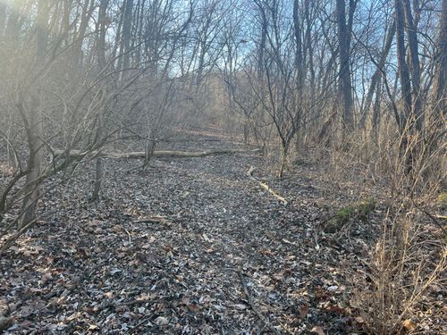 4840 Kollman Ave, Taylor Mill, KY, 41015-1972 | Card Image