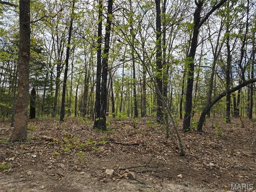 Tract M Greatview Lane, Lebanon, MO, 65536 | Card Image