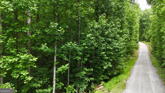 TRACT-1 - 0 Sautee Ridge Rd, Home with 0 bedrooms, 0 bathrooms and null parking in CLARKESVILLE GA | Image 6