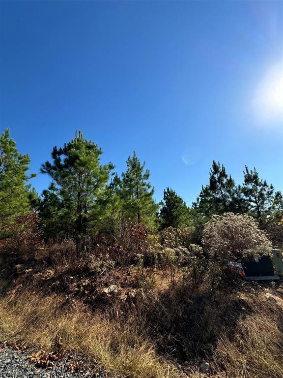 Land in Broken Bow 5