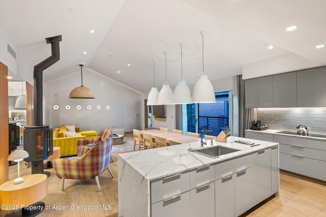 F10-1-10 - 550 S Spring St, Condo with 3 bedrooms, 4 bathrooms and 1 parking in Aspen CO | Image 9