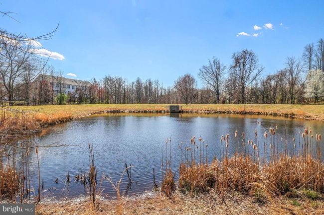 9769 June Flowers Way, Townhouse with 3 bedrooms, 4 bathrooms and null parking in LAUREL MD | Image 41