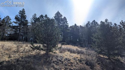 136 Valley Rd, Divide, CO, 80814-9670 | Card Image