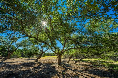 Rustic Ridge Gillespie Ridge, Harper, TX, 78058 | Card Image