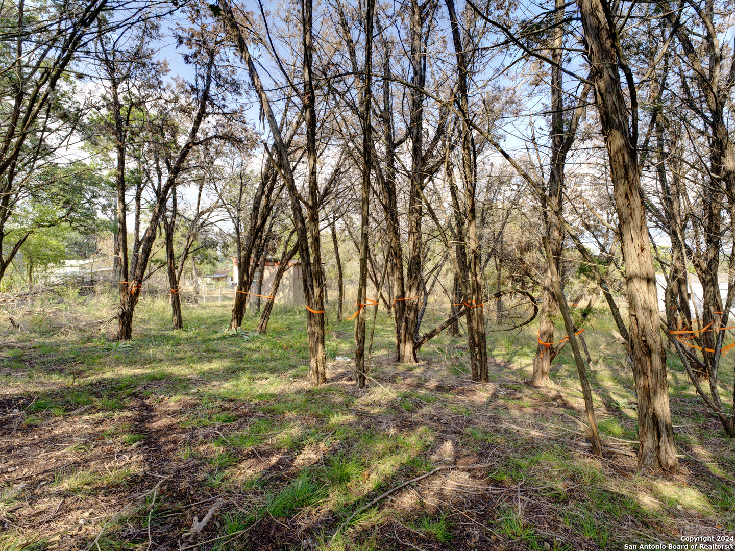 Land in Spring Branch