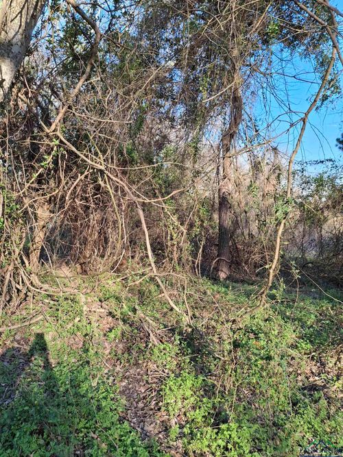 TBD Country Road Dr, Henderson, TX, 75652 | Card Image