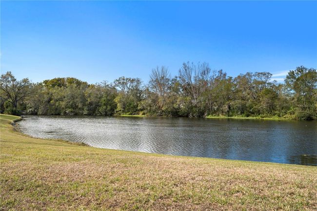 4320 Middle Lake Dr, House other with 4 bedrooms, 3 bathrooms and null parking in TAMPA FL | Image 8
