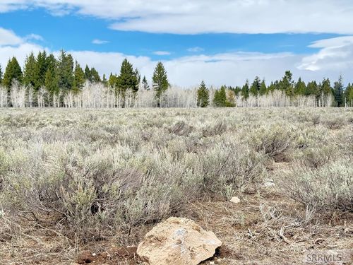 4055 Ryan, Island Park, ID, 83429 | Card Image