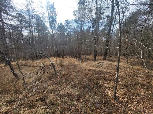 Lot 587 Foxglove Pt, Sparta, GA, 31087 | Card Image