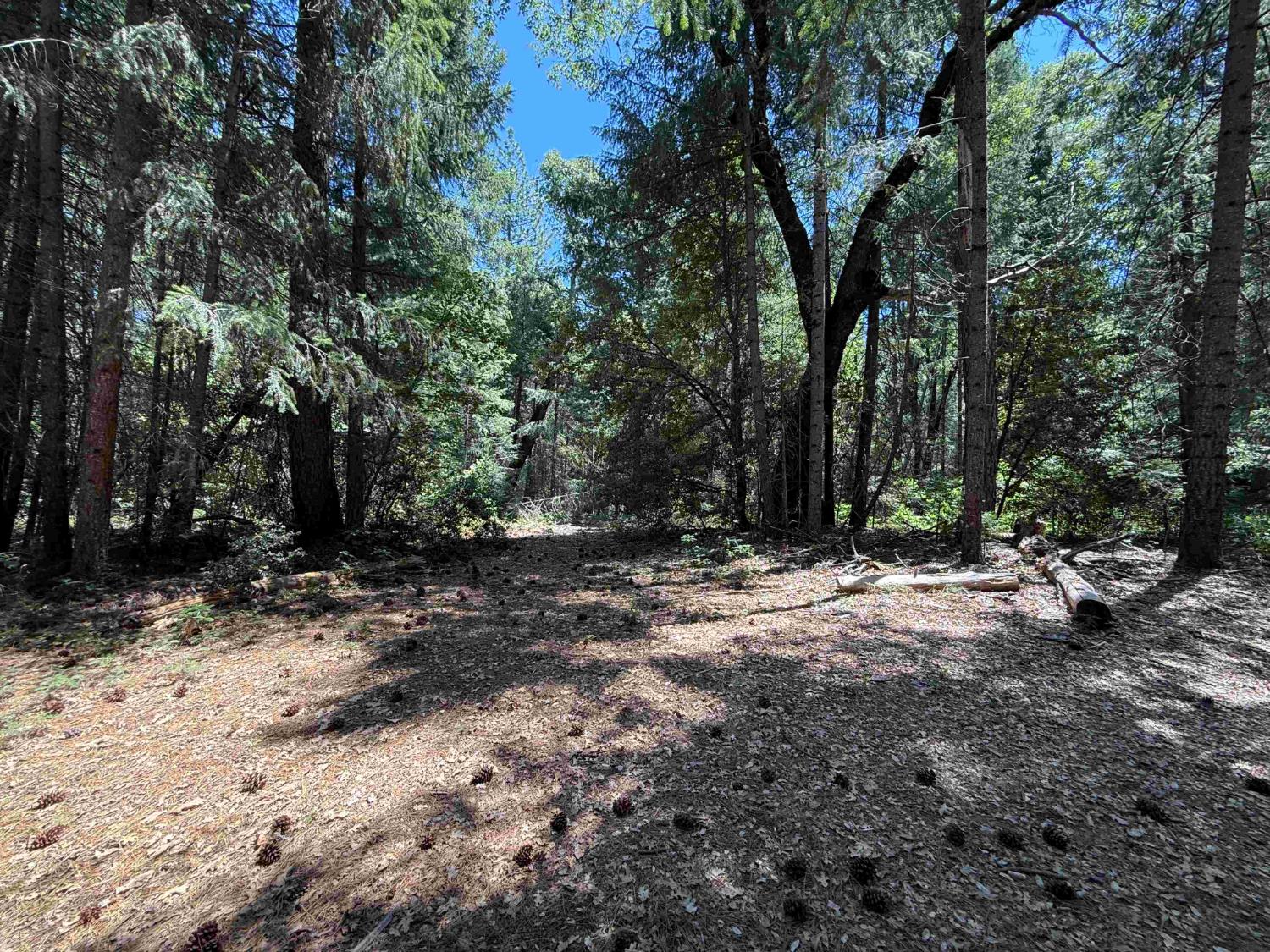 Land in Nevada City 5