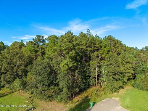 0 Williamsburg Rd Road, Picayune, MS, 39466 | Card Image
