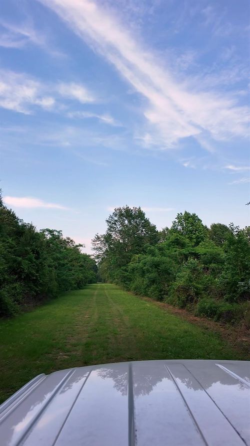 0 County Line Rd, Shepherd, TX, 77371 | Card Image