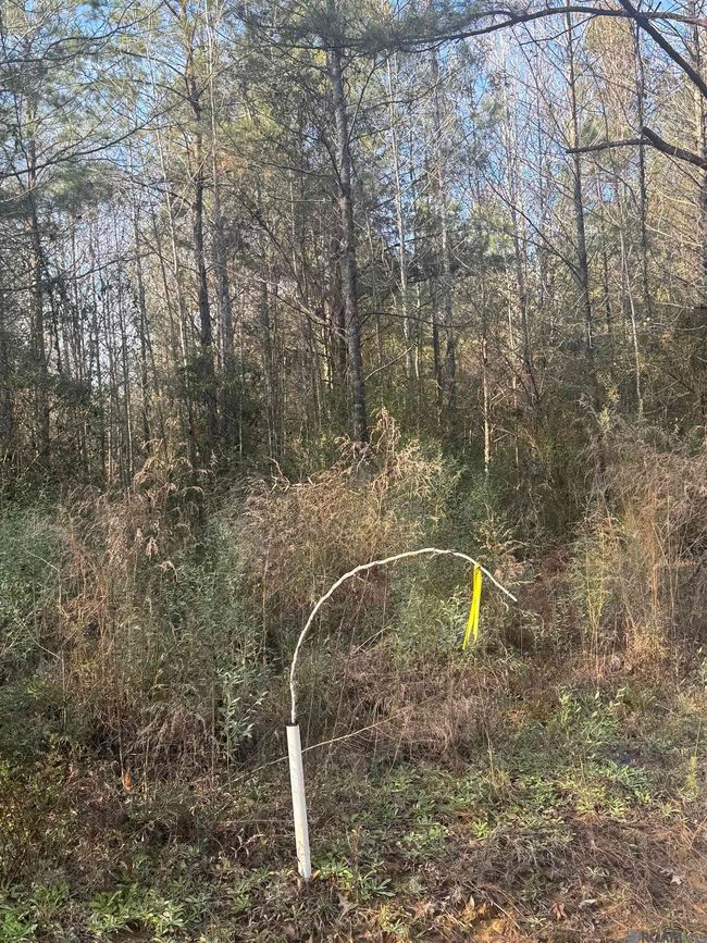 5903 Line Rd, Home with 0 bedrooms, 0 bathrooms and null parking in Ethel LA | Image 10