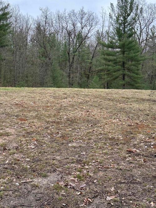 VL Pineview Court, Moffatt Township, MI, 48610 | Card Image