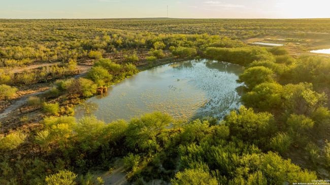 9239 Fm 133, Home with 7 bedrooms, 7 bathrooms and null parking in Cotulla TX | Image 77
