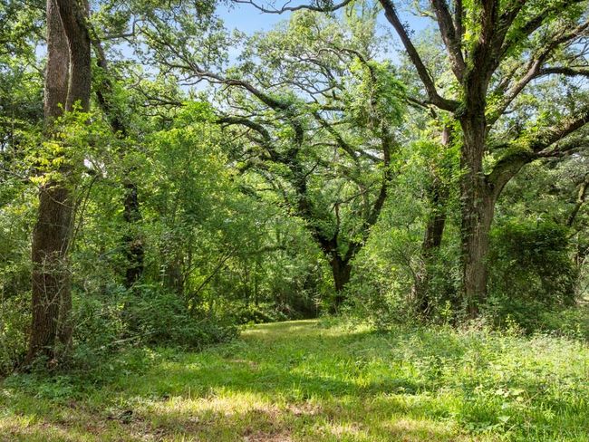 5714 Masters Rd, House other with 3 bedrooms, 3 bathrooms and 2 parking in Manvel TX | Image 15