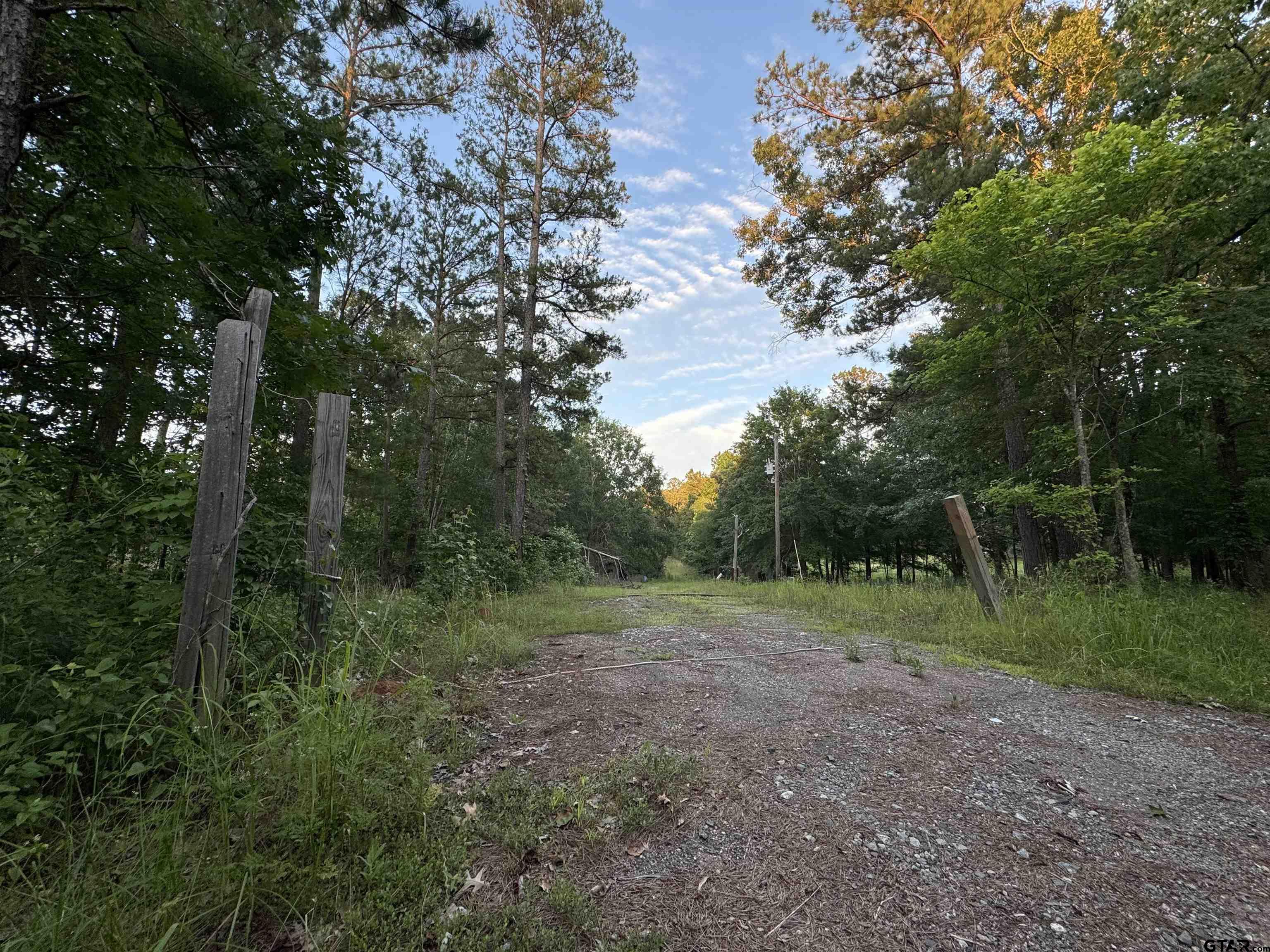 Ireland Williams Rd, Waskom, TX 75692