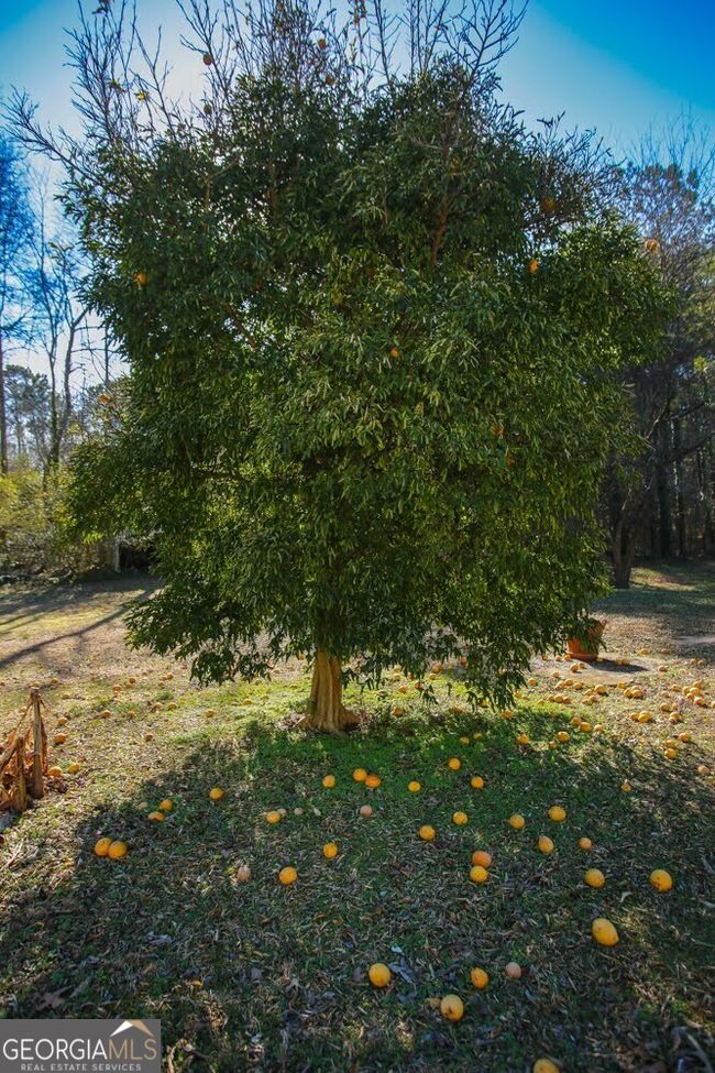272 Old Sudie Rd, House other with 2 bedrooms, 1 bathrooms and null parking in hiram GA | Image 45