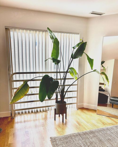 109-109 Harbour Close, New Haven, CT, 06519-2833 | Card Image