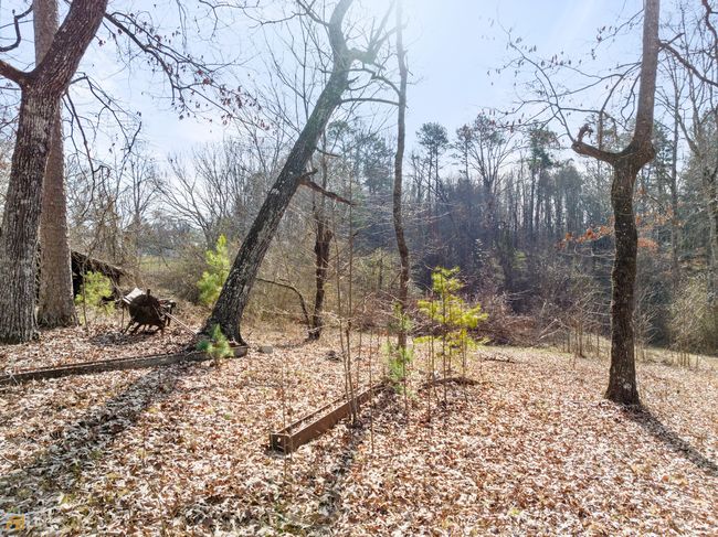 0 James Rd, Home with 0 bedrooms, 0 bathrooms and null parking in CLARKESVILLE GA | Image 4