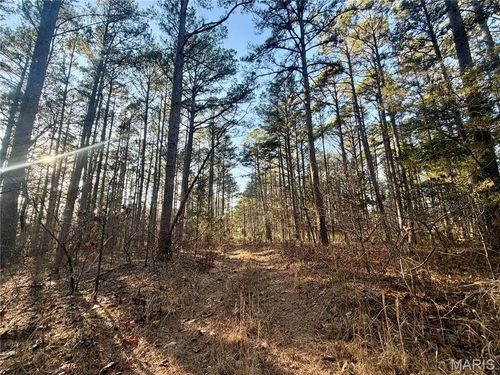 0 County Road 6575, Salem, MO, 65560 | Card Image