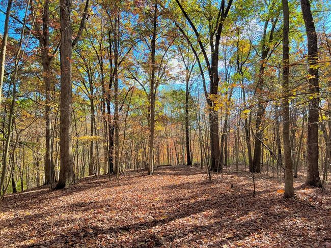213 S Benner Hill Rd, Home with 3 bedrooms, 1 bathrooms and 1 parking in Bainbridge OH | Image 66