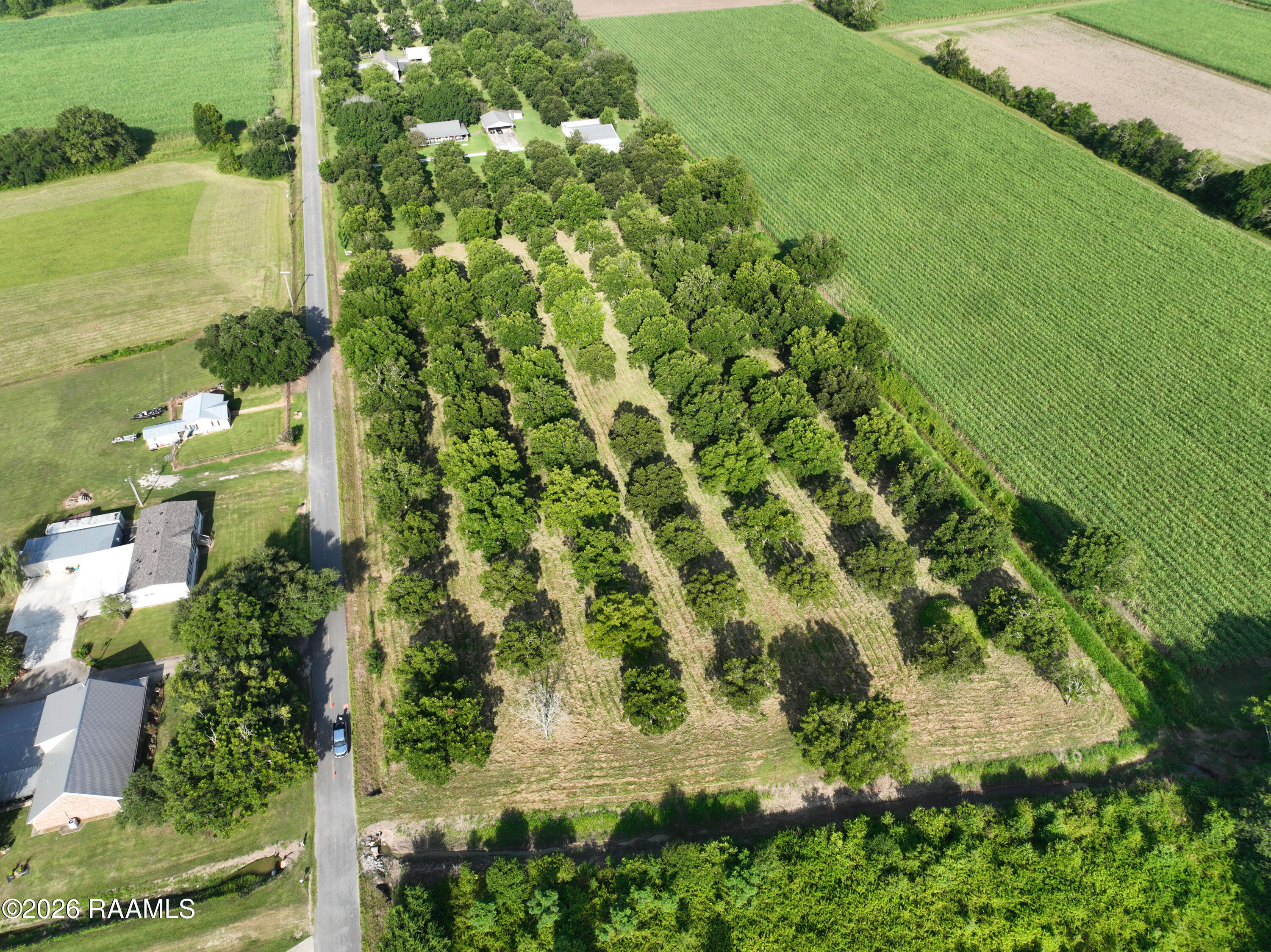 Land in Arnaudville 3