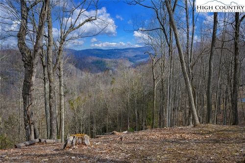 TBD Raspberry Lane, Elk Park, NC, 28622 | Card Image