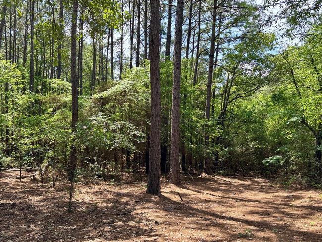 7481 County Road 232, Home with 0 bedrooms, 0 bathrooms and null parking in Richards TX | Image 7