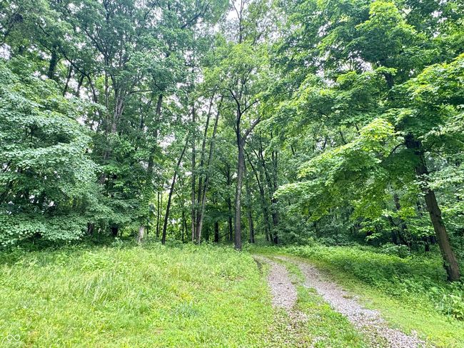 view of tree filled area | Image 23