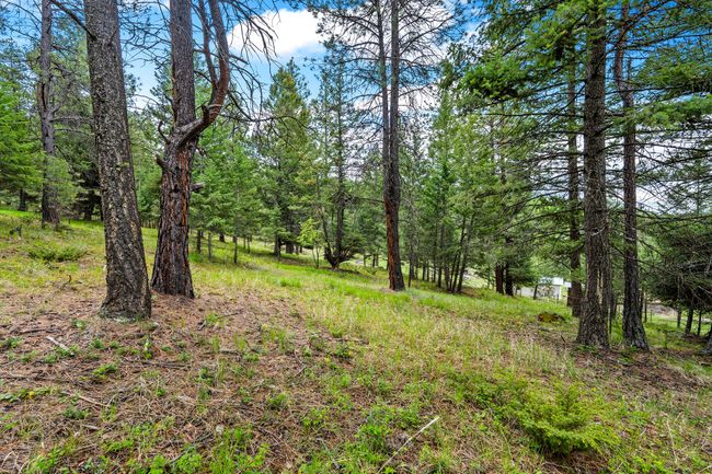 Sense of privacy in the forested landscape | Image 53