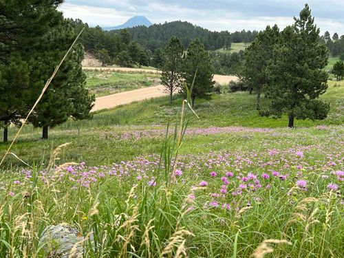 Lot 30 Summit Pass, Whitewood, SD, 57793 | Card Image