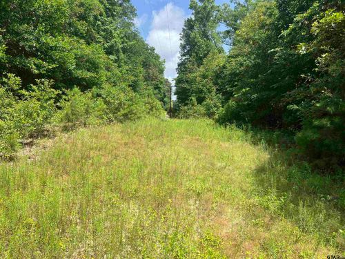 301 Bluebonnet, Avinger, TX, 75630-0029 | Card Image