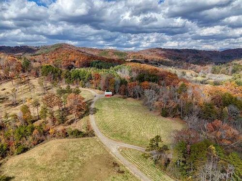 902 Deitz Cable Rd, Warne, NC, 28909 | Card Image