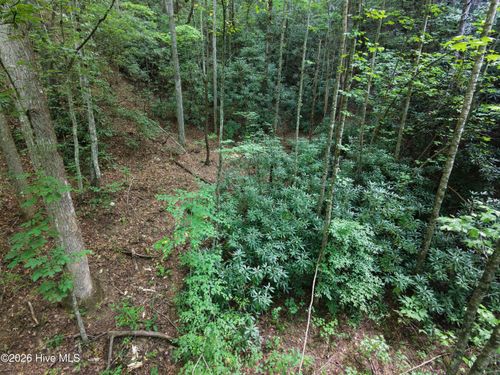 00 Collett Creek Rd, Andrews, NC, 28901 | Card Image
