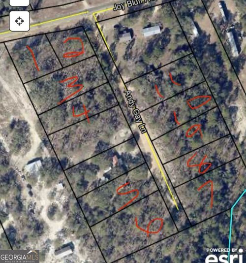 0 Andy Gay Rd, Reidsville, GA, 30453 | Card Image