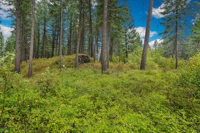157 Pinto Trl, Home with 0 bedrooms, 0 bathrooms and null parking in Bigfork MT | Image 48